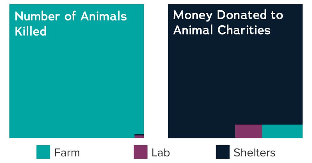 ACE-Animals-Donations-Graphic-Compressed